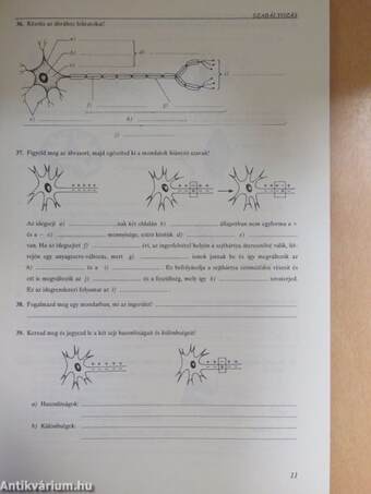 Komplex munkafüzet biológiából 8.