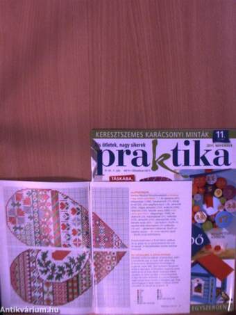 Praktika 2011. november