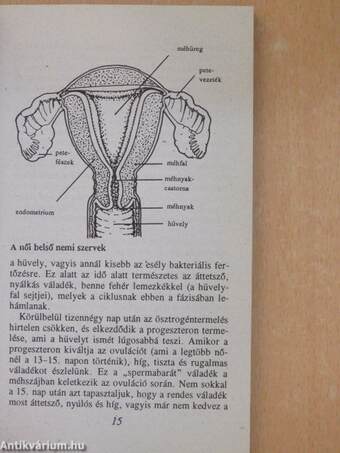 Mit kell a nőknek tudniuk a krónikus fertőzésekről és a nemi úton terjedő betegségekről?