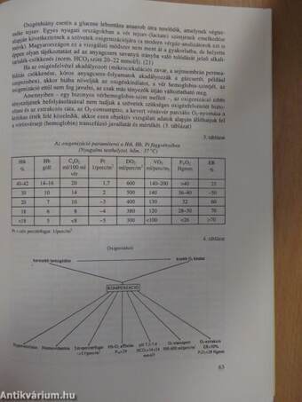 Transzfúziós alapismeretek és transzfuziológiai szabályzat