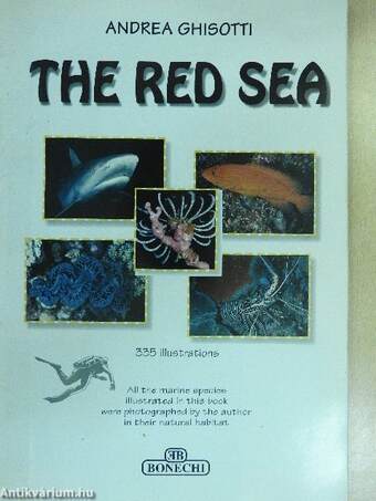 The Red Sea