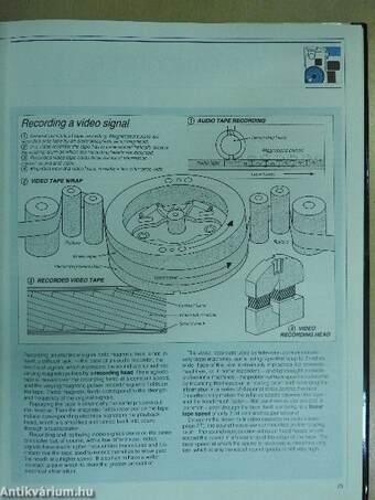 The home video director's handbook