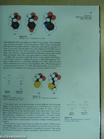 Molecular Design of Life