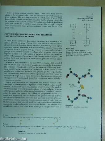 Molecular Design of Life