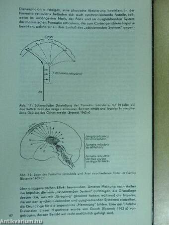 Neurosen-Ursachen und Heilmethoden