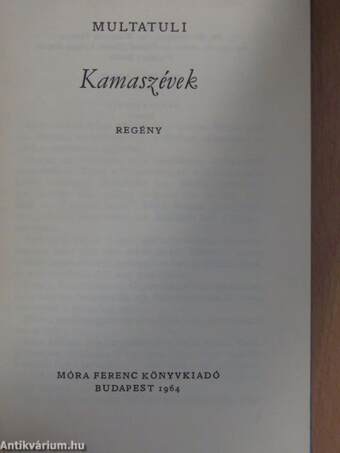 Kamaszévek