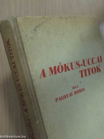 A Mókusuccai titok