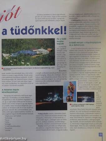 Természetgyógyász magazin 2005. január