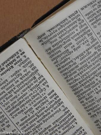 Új Testamentom/A zsoltárok könyve