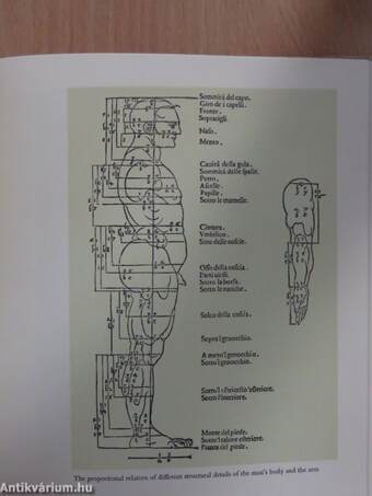 Albrecht Dürer della simmetria dei corpi humani