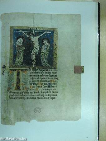 Illuminated Manuscripts in Hungary