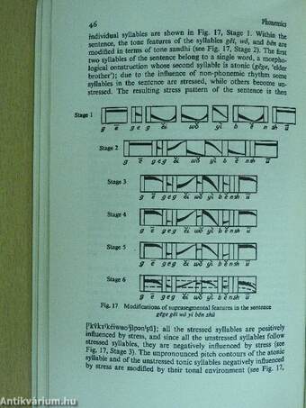 The Chinese Language Today 