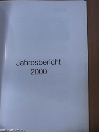 Jahresbericht 2000