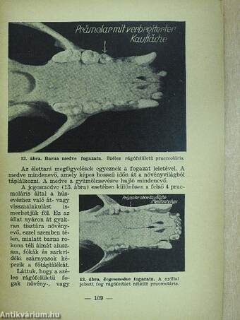 Életreform 1935. május 23.