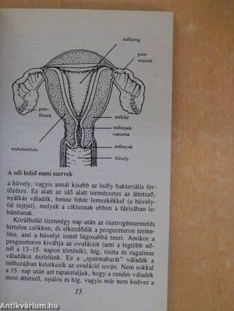 Mit kell a nőknek tudniuk a krónikus fertőzésekről és a nemi úton terjedő betegségekről?