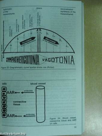 Homotoxicology