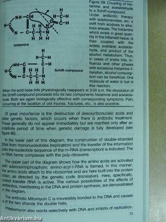 Homotoxicology