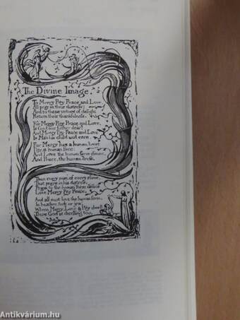 Blake's Poetry and Designs