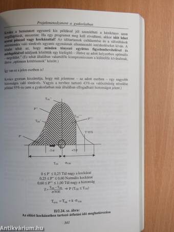 Projektmenedzsment a gyakorlatban