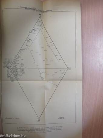 Földtani Közlöny 1950/10-12.