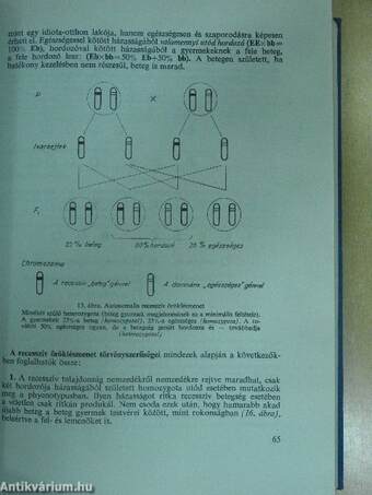 A beteg gyermek 1. (töredék)