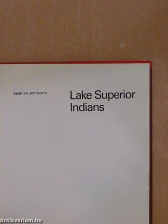 Eastman Johnson's Lake Superior Indians