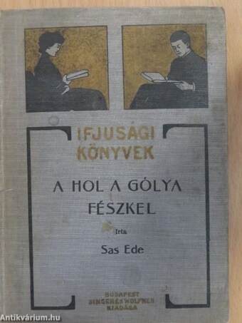 A hol a gólya fészkel