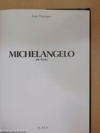 Michelangelo