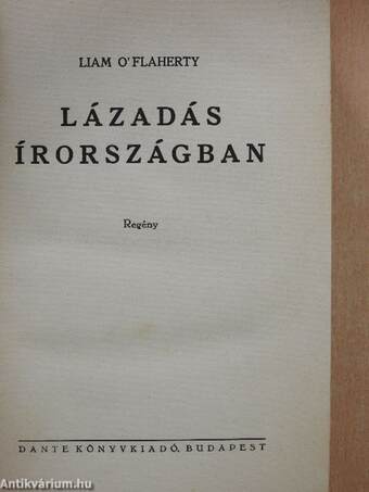 Lázadás Írországban