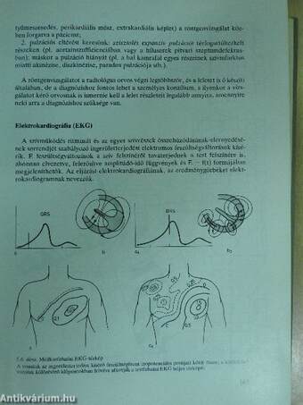 Belgyógyászati diagnosztika