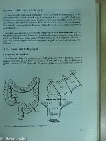 Belgyógyászati diagnosztika