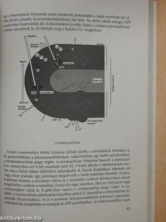 Érettségi, felvételi tételek, témakörök - Biológia