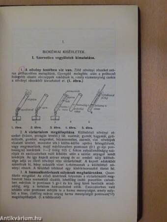 400 egyszerű növényélettani kísérlet