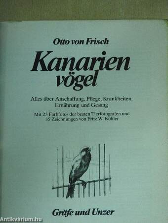 Kanarien vögel