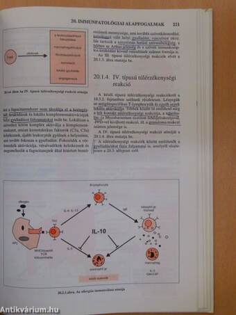 Az immunológia élettani és molekuláris alapjai