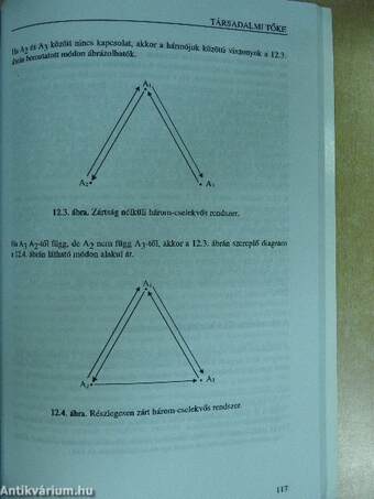 A gazdasági élet szociológiája