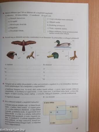 Természetismeret feladatsorozatok általános iskolásoknak 6. osztály