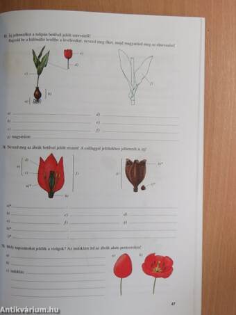 Természetismeret feladatsorozatok általános iskolásoknak 5. osztály