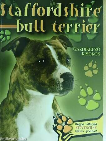 Staffordshire bull terrier