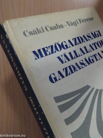 Mezőgazdasági vállalatok gazdaságtana