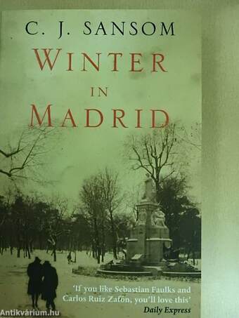 Winter in Madrid