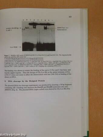 Cytotoxic, Mutagenic and Carcinogenic Potential of Heavy Metals Related to Human Environment