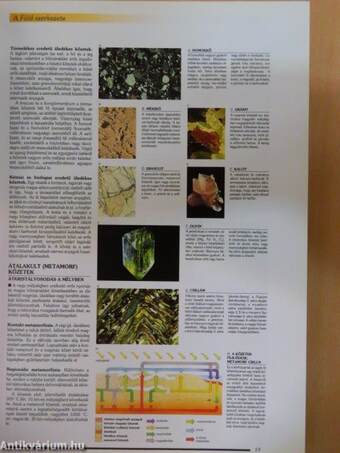 Larousse - A természet enciklopédiája