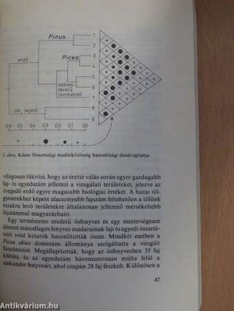 Madárökológia I-II.