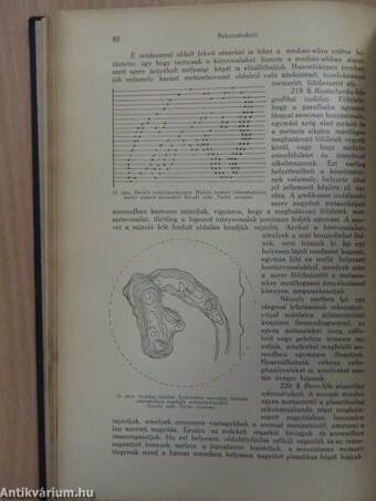 Az ép- és kóros szövettani vizsgálat módszerei