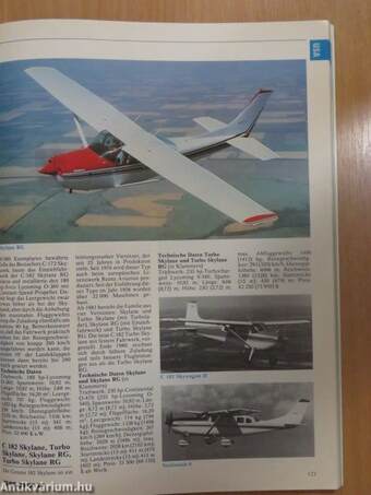 Flugzeuge '81