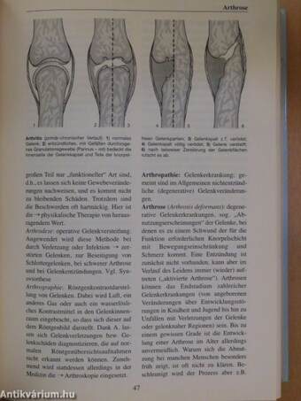 Patienten-Wörterbuch