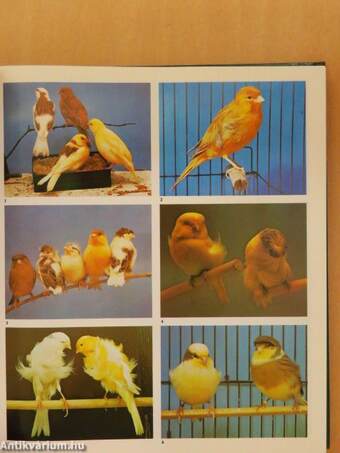 Encyclopedia of Cage and Aviary Birds