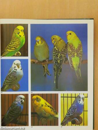 Encyclopedia of Cage and Aviary Birds