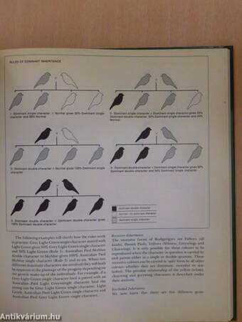 Encyclopedia of Cage and Aviary Birds